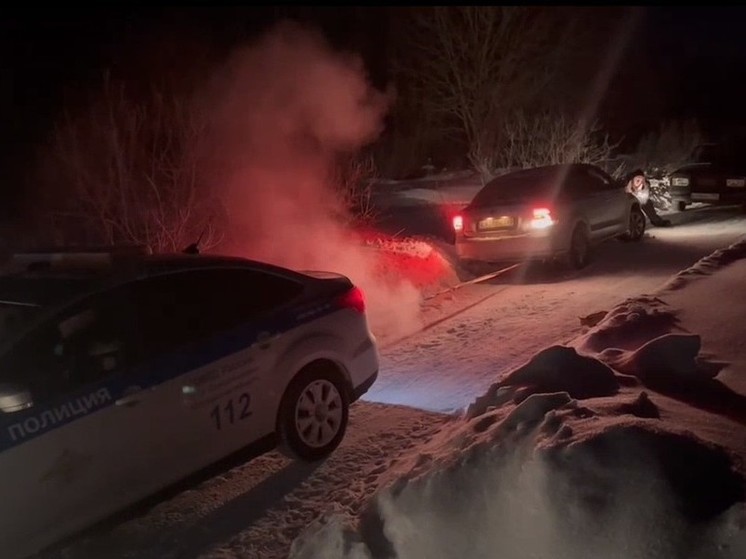 Автоинспекторы помогли водителю, попавшему в снежный плен