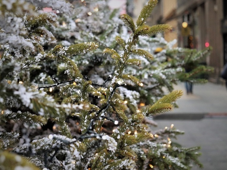 Югорчанам разъяснили правила утилизации новогодних елок
