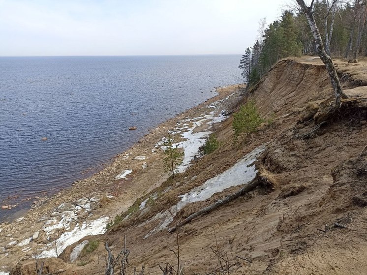 Тело подростка нашли около базы охотников и рыболовов в Ивангороде
