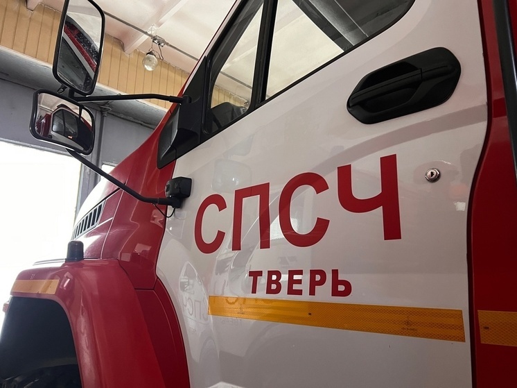 Ночью на переулке Трудолюбия в Твери загорелся автомобиль