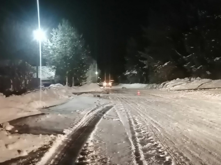 В Архангельской области пешеход погиб под колесами иномарки