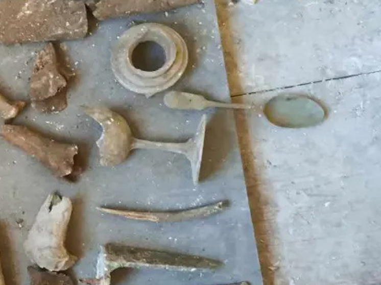 «Я начал нервничать, когда нашел челюстную кость с зубами!»