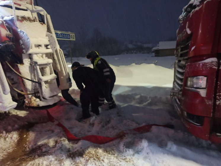 Во время снегопада на дорогах Марий Эл водителям помогали автоинспекторы
