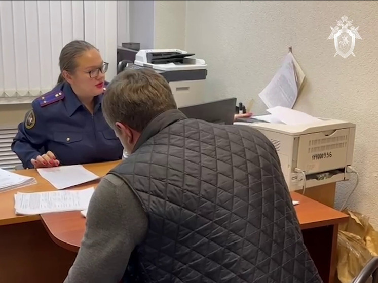 В Новгородской области раскрыли дело об уклонении от налогов на 109 млн рублей