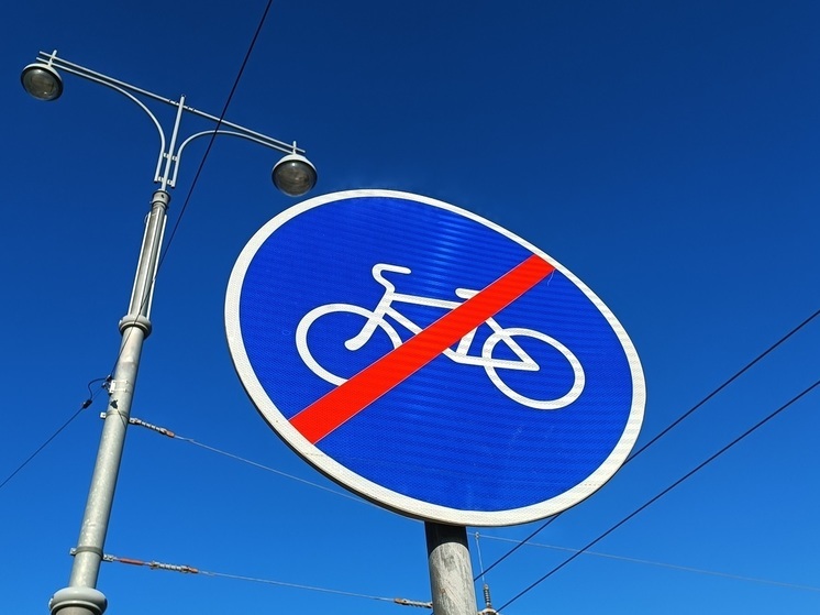 В Екатеринбурге вынесли приговор за хищение велосипеда у курьера