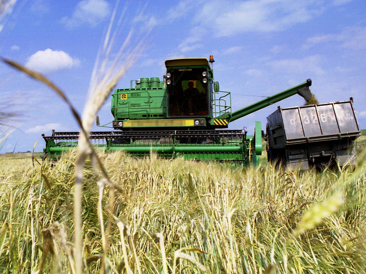 В недружественных странах испугались экспорта пшеницы из России