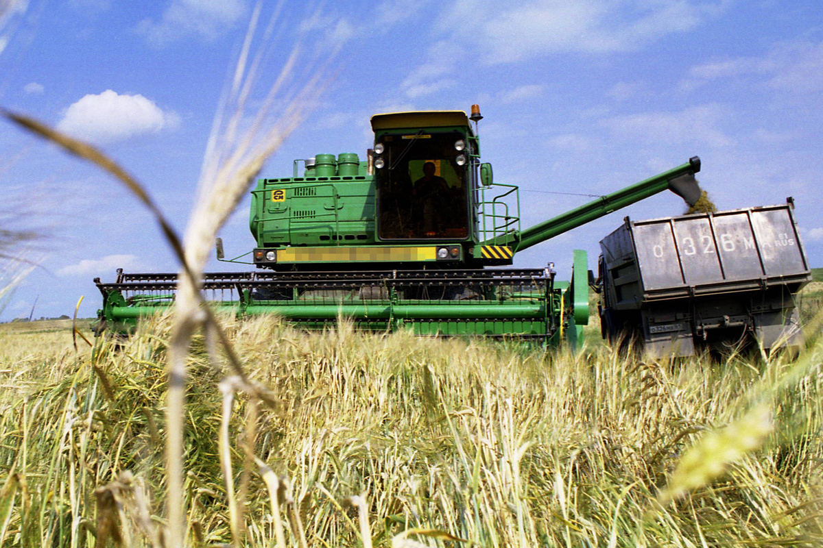 Moscow will fill the world with grain - MK