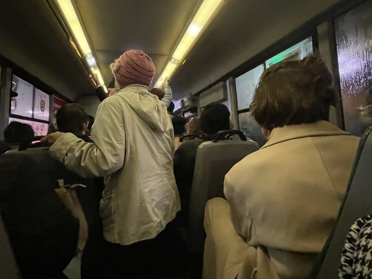 Мэрия Рязани прокомментировала нехватку общественного транспорта 22 января
