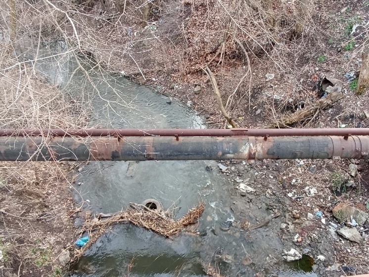 Волонтеры расчистили почти тринадцать километров береговой линии в ДНР