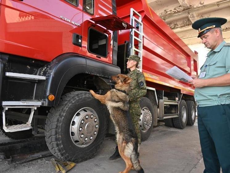 Наркотики и млн рублей помогли найти служебные собаки на таможне в Забайкалье