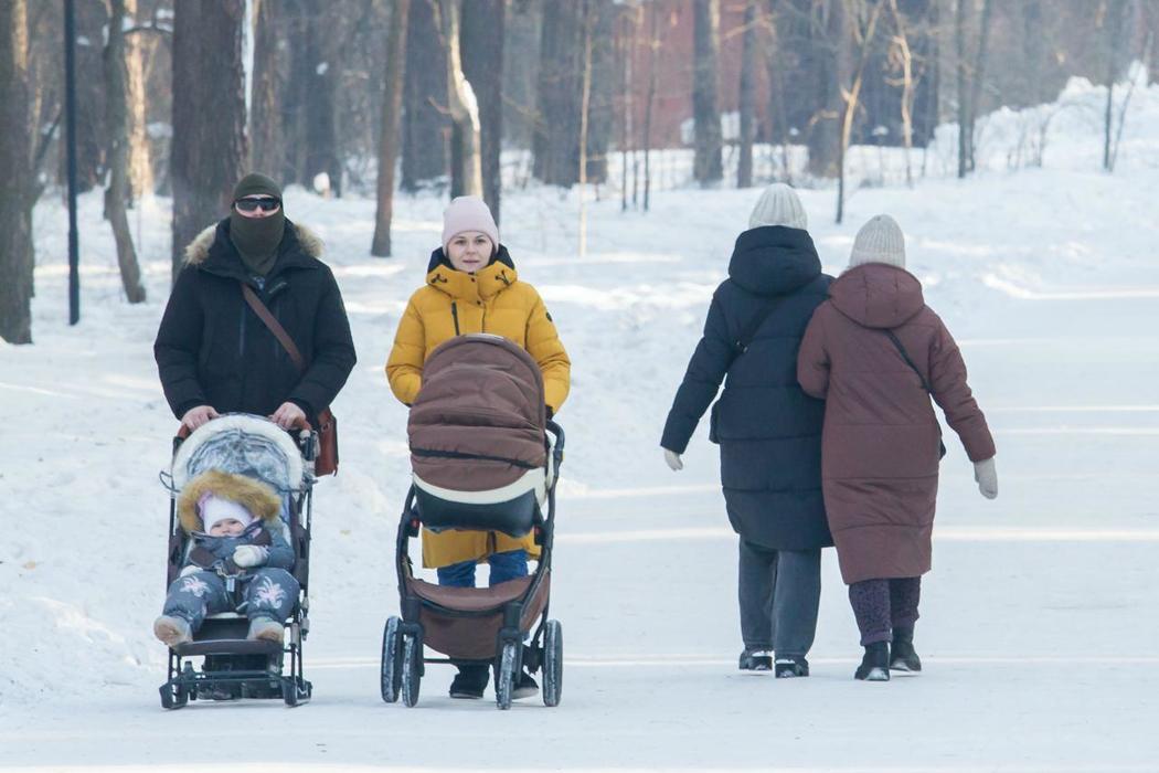 Заельцовский парк в Новосибирске с хаски