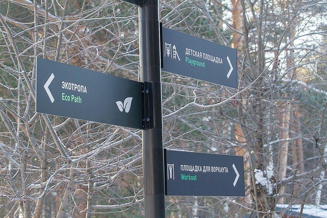 Заельцовский парк в Новосибирске с хаски