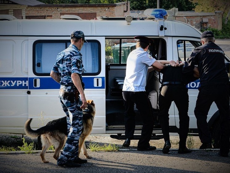 Пензенская область заняла 17 место в рейтинге по уровню преступности