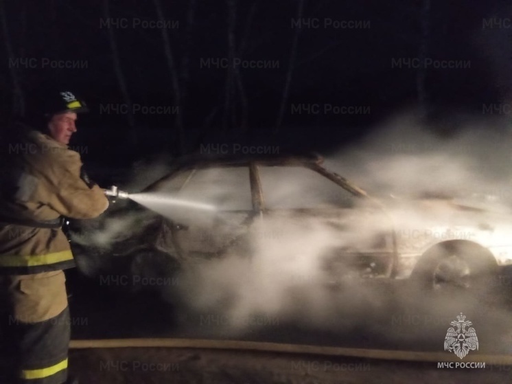 В Орловской области после столкновения с деревом загорелась иномарка