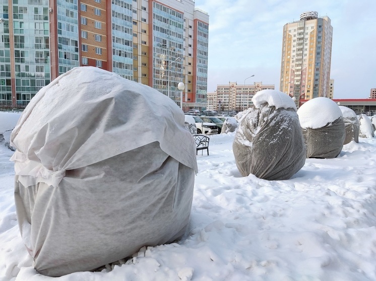 Потепление до -11 °С ожидается в Томске 24 января