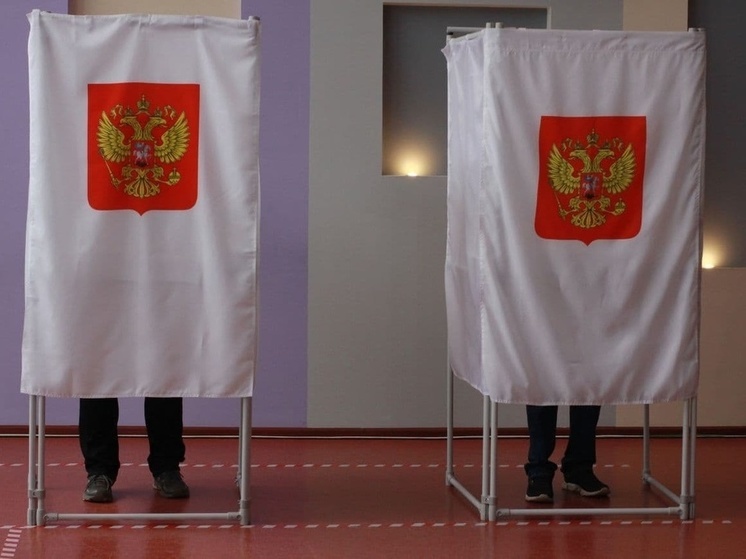 В Тульской области за порядком на выборах президента РФ проследят наблюдатели