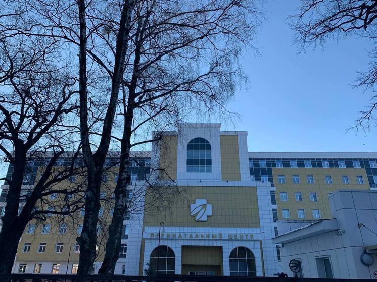 В пензенской семье родился 13 ребенок