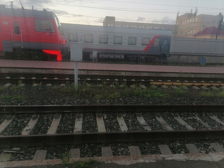 Семь жителей Оренбургской области погибли под колесами поезда