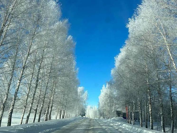 В Пензу придет небольшое потепление и снег 24 января