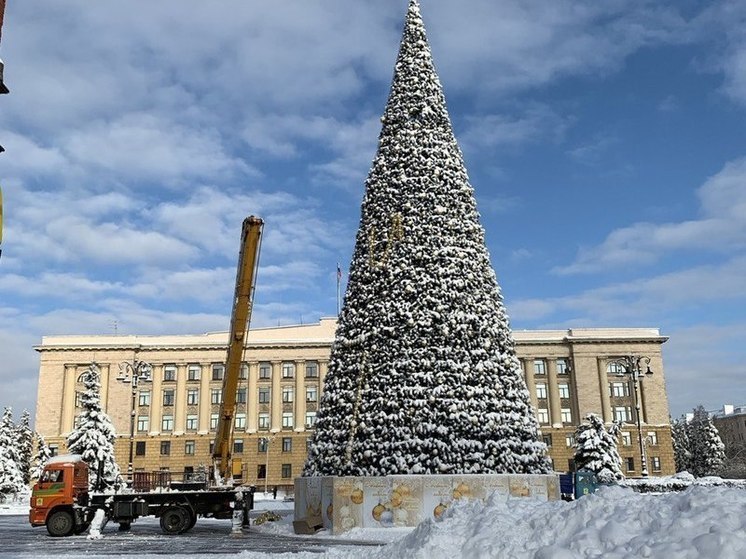 Доставка елок пенза