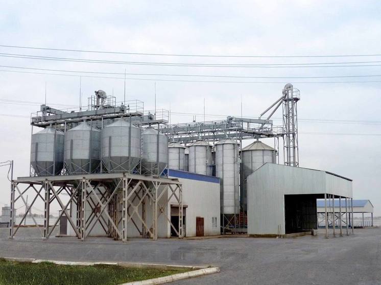 В Кировском округе к 2025 году откроют комбикормовый завод