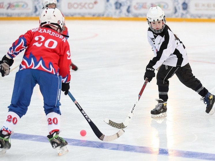 Команда «Зоркий» Красногорска выступит на Красной площади