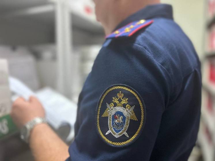 В Тюменской области женщина обвиняется в убийстве матери