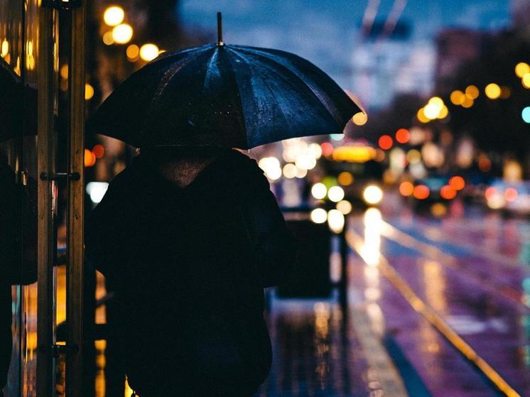 Синоптики 24 января предсказывают в Смоленске дождь