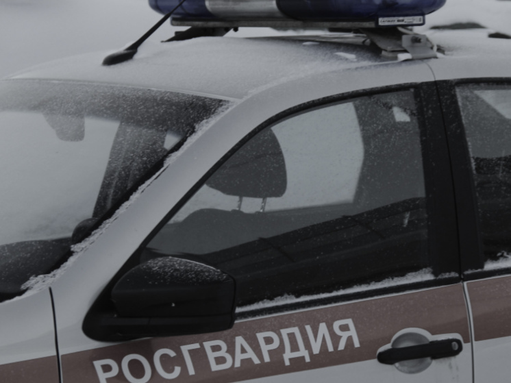 Росгвардейцы задержали в магазине Петрозаводска женщину с тапками и ножом