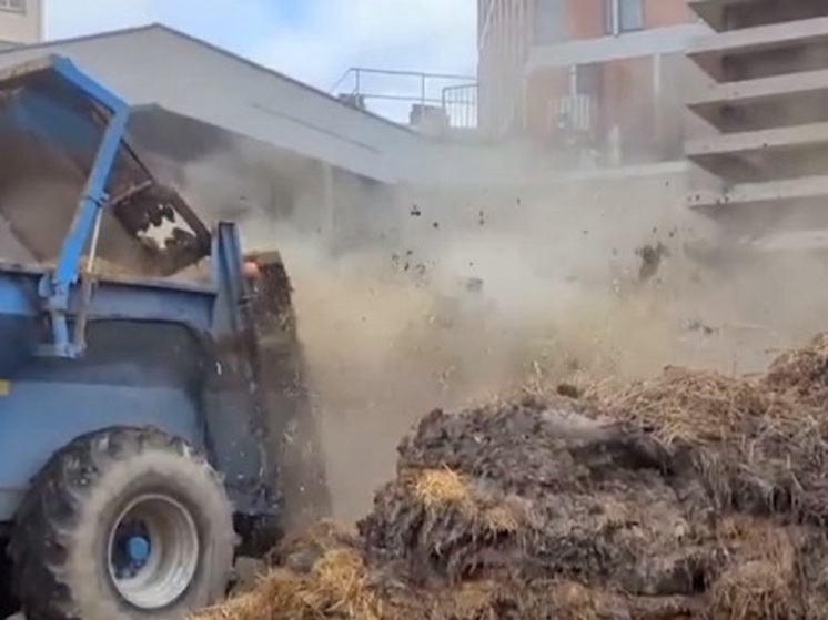 Фермеры залили префектуру французского города Ажен навозом