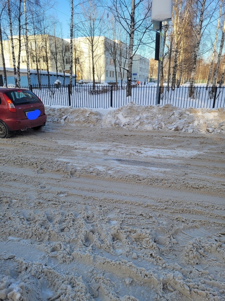 В Тверской области дети переходят дорогу и прыгают в снег