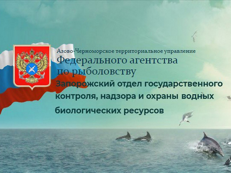 В Запорожской области обновили правила рыболовства