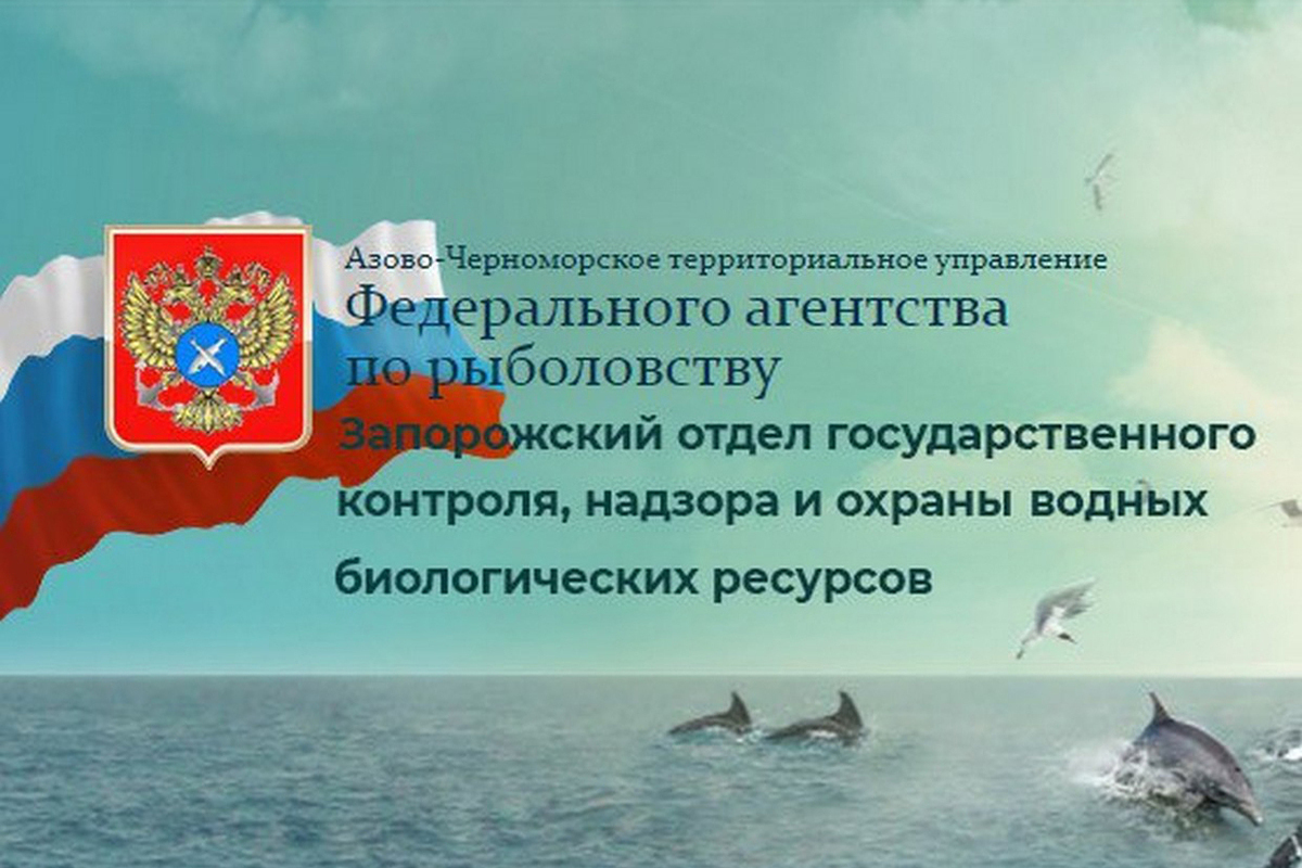 Нравственно-патриотическое воспитание. Заявление на приостановление исполнительного производства образец. Заявление для мобилизованных. Росприроднадзор Азово-Черноморское управление.