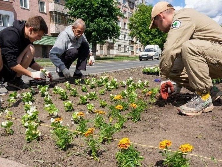 Кировские цветники оформят в едином стиле