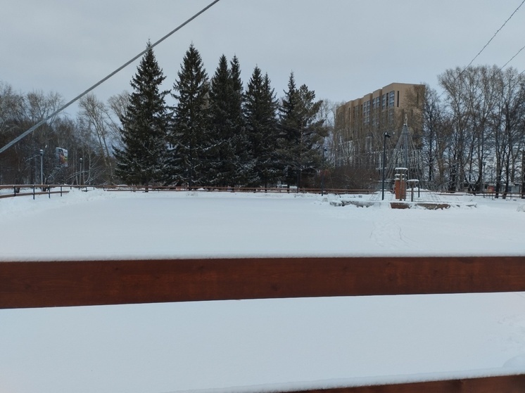 Стал известен прогноз погоды на февраль в Новосибирске