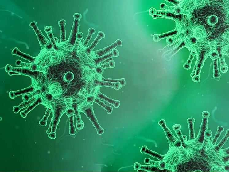 Ещё два жителя Ивановской области скончались от коронавируса за неделю