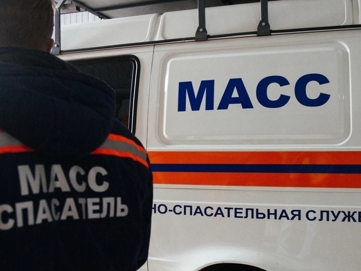 В Новосибирске спасатели помогли двухлетнему ребенку, застрявшему в квартире