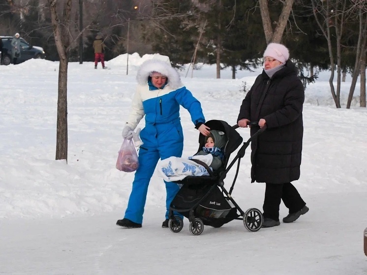 Мазур: в Томской области насчитывается 11 тысяч многодетных семей