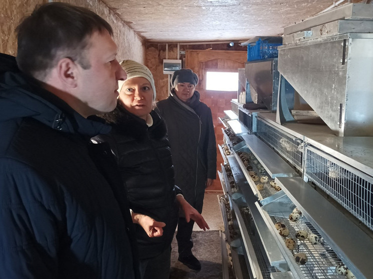 Фермерское хозяйство Ивановского района ежемесячно производит 15 000 перепелиных яиц