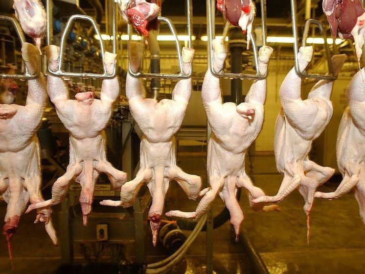 Французские фермеры пожаловались на дешевое украинское куриное мясо