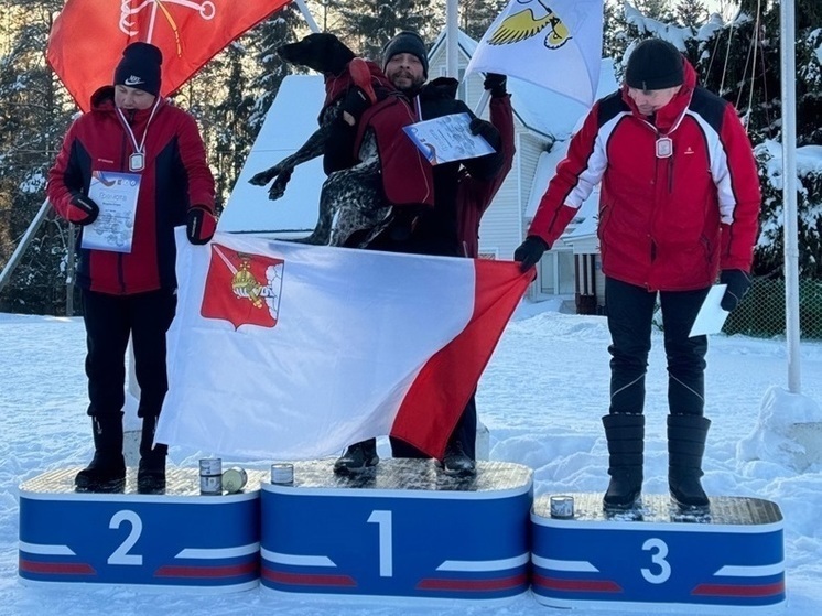Вологжане взяли призовые места на чемпионате и первенстве СЗФО РФ по ездовому спорту