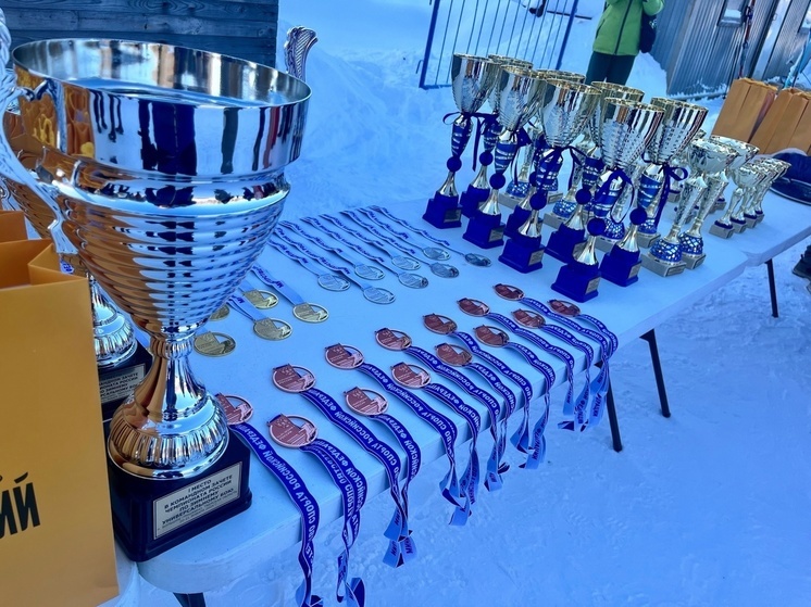 Северяне взяли бронзу на чемпионате России по зимнему универсальному бою