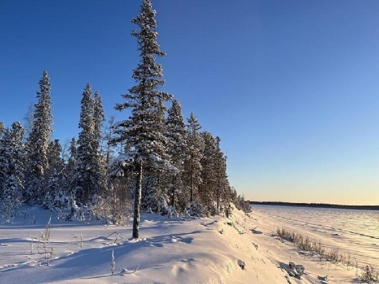 Вечером 24 января откроют зимник Коротчаево — Красноселькуп