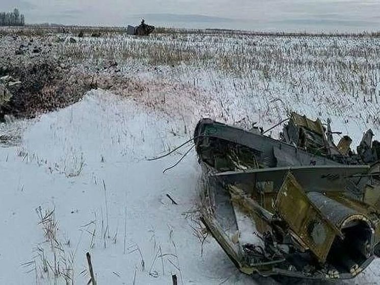 Депутат Госдумы Белик: Украину следует признать государством-террористом после крушения Ил-76