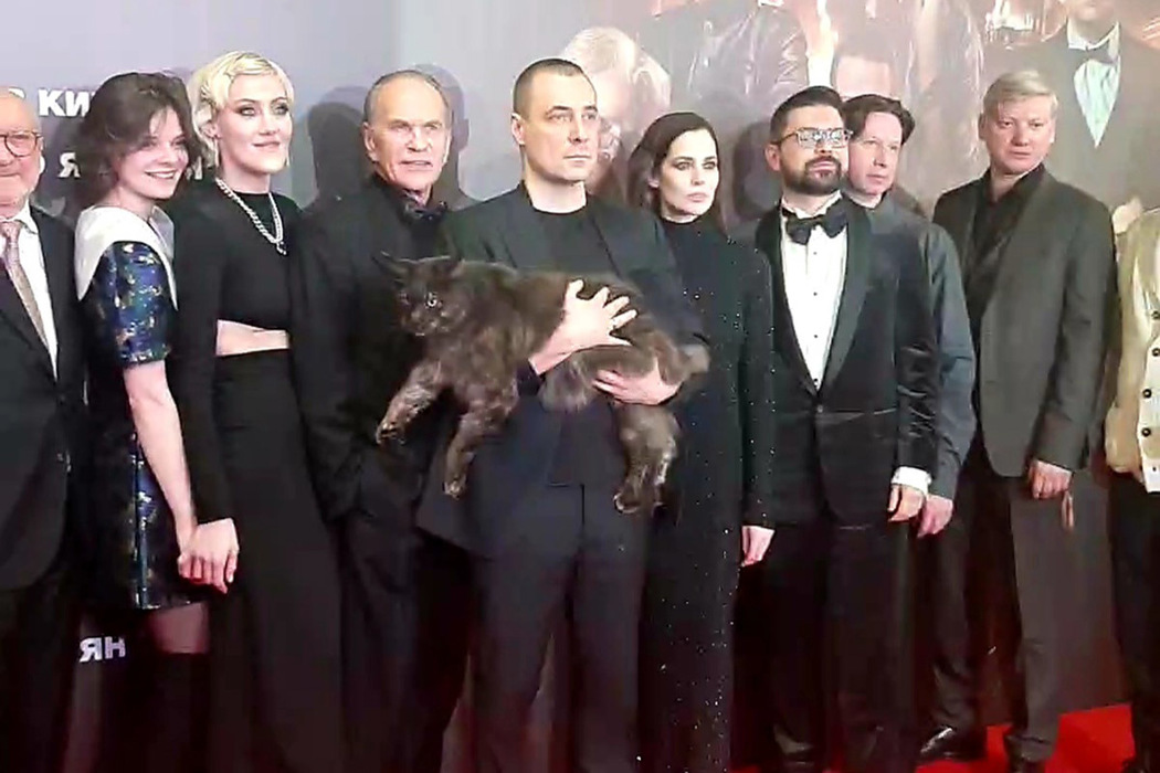 Khabensky, Tsyganov with a cat, Snigir, Yarmolnik: the stars walked their outfits and cat