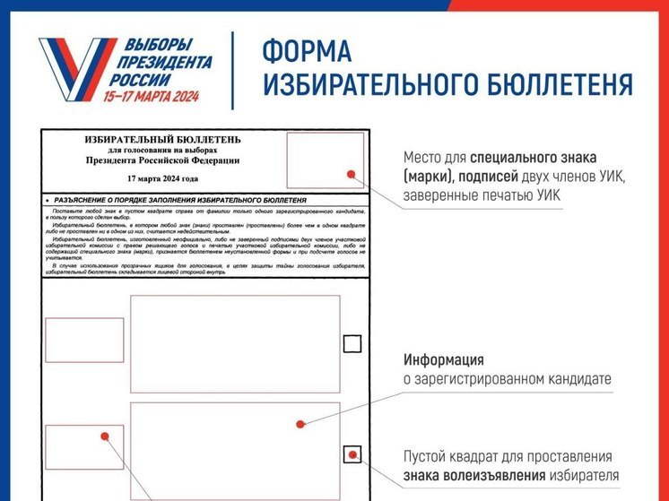 Жителям Тульской области показали бюллетень на выборах президента РФ