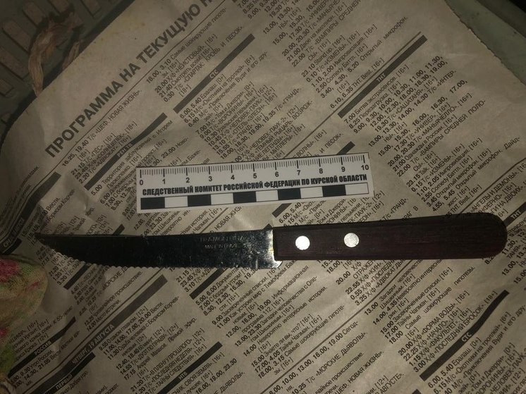 В Курской области 23-летнего парня обвиняют в покушении на убийство