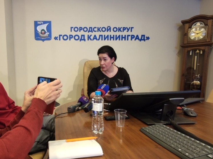 Дятлова рассказала об установке бесперебойников на светофорах в Калининграде