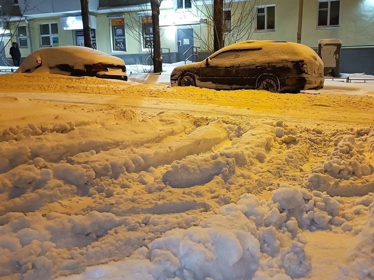 В Екатеринбурге планируют начать плавление снега