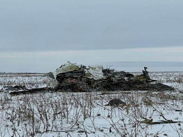 Рогов: Киев сбил Ил-76 с собственными пленными для запугивания солдат ВСУ